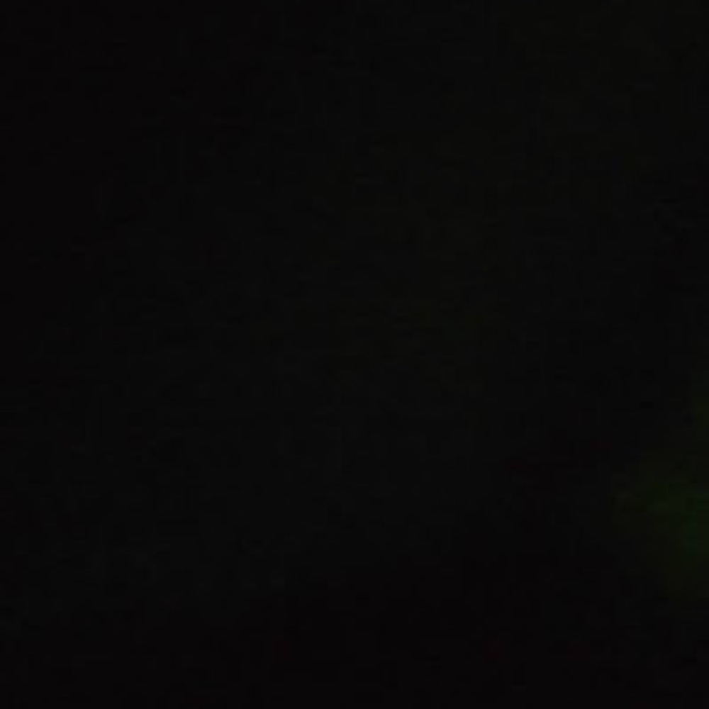 Meet your Posher, Bella